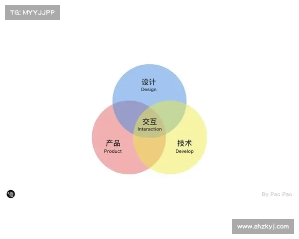 强效位面精华:技巧与应用指南 强效位面精华:技巧与应用指南