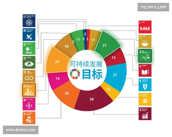 如何通过财务健康指标评估足球俱乐部的经营状况与发展潜力